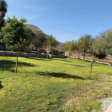 Cabanas Los Olivos Ixmiquilpan Exterior photo