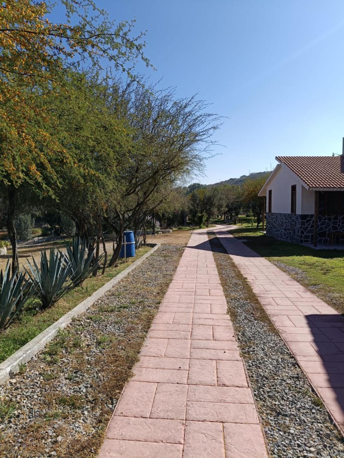 Cabanas Los Olivos Ixmiquilpan Exterior photo