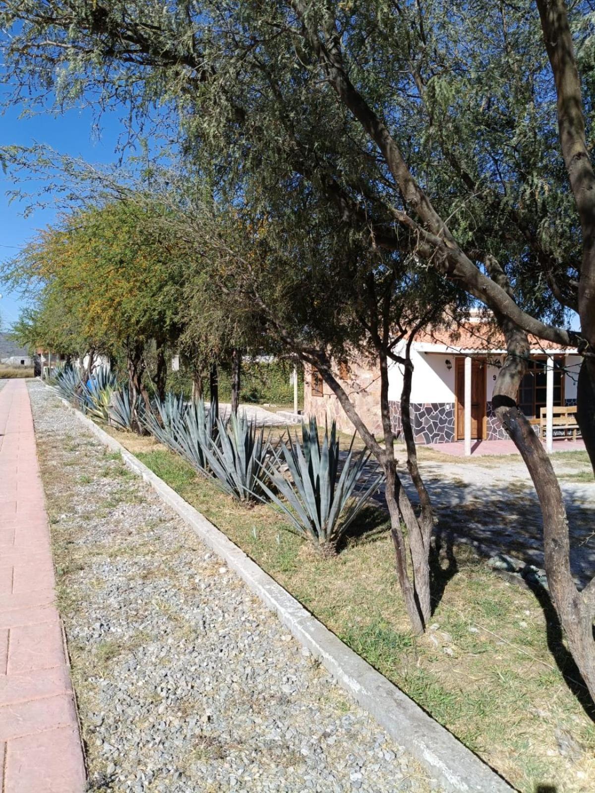 Cabanas Los Olivos Ixmiquilpan Exterior photo